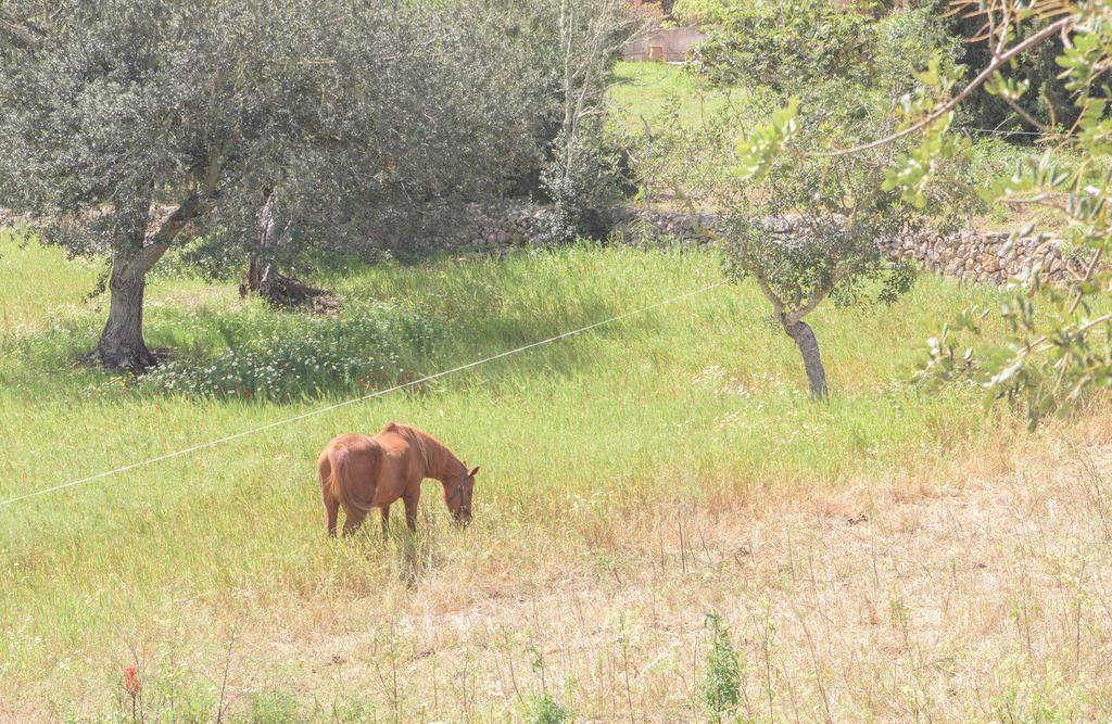 Finca Batlet S'Horta Zewnętrze zdjęcie