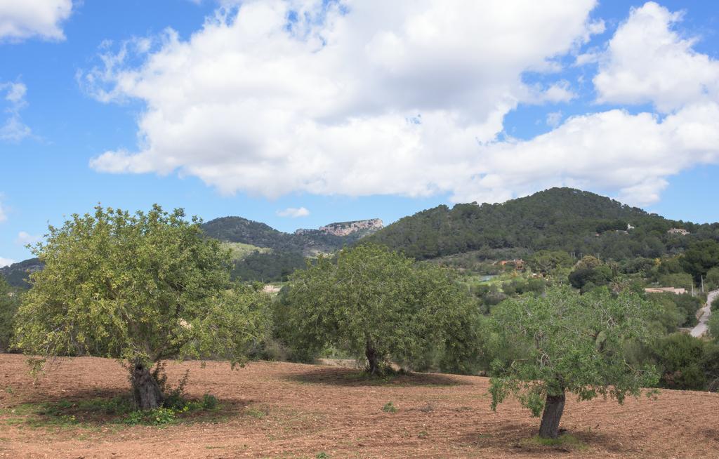 Finca Batlet S'Horta Zewnętrze zdjęcie